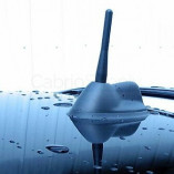 Short antenne The Stubby (10 cm) MINI Cabrio F57 2014-2020
